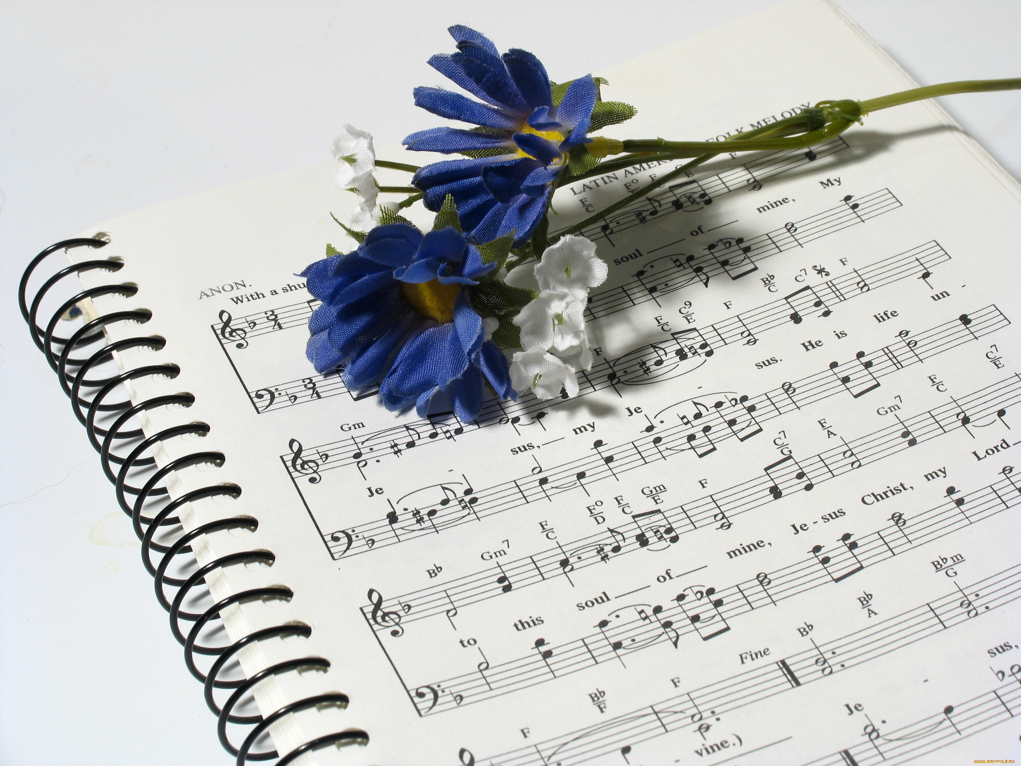 Цветы И Музыка